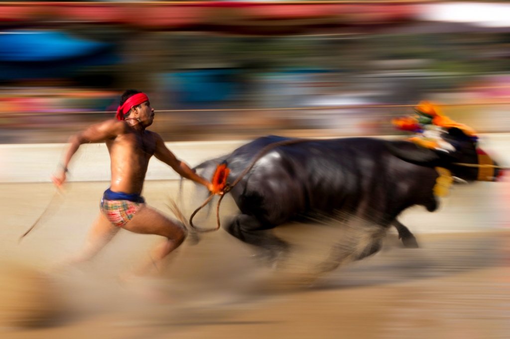 Kambala Documentary Series